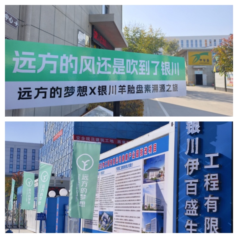 銀川伊百盛生物工程有限公司 銀川伊百盛生物工程有限公司