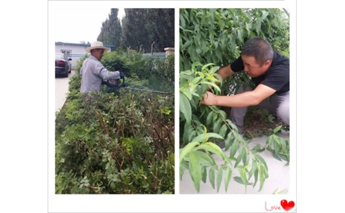 美化廠區環境 樹立良好形象