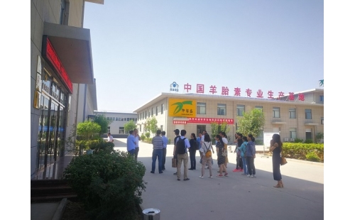 江南大學、寧夏大學課題組專家蒞臨伊百盛調研交流